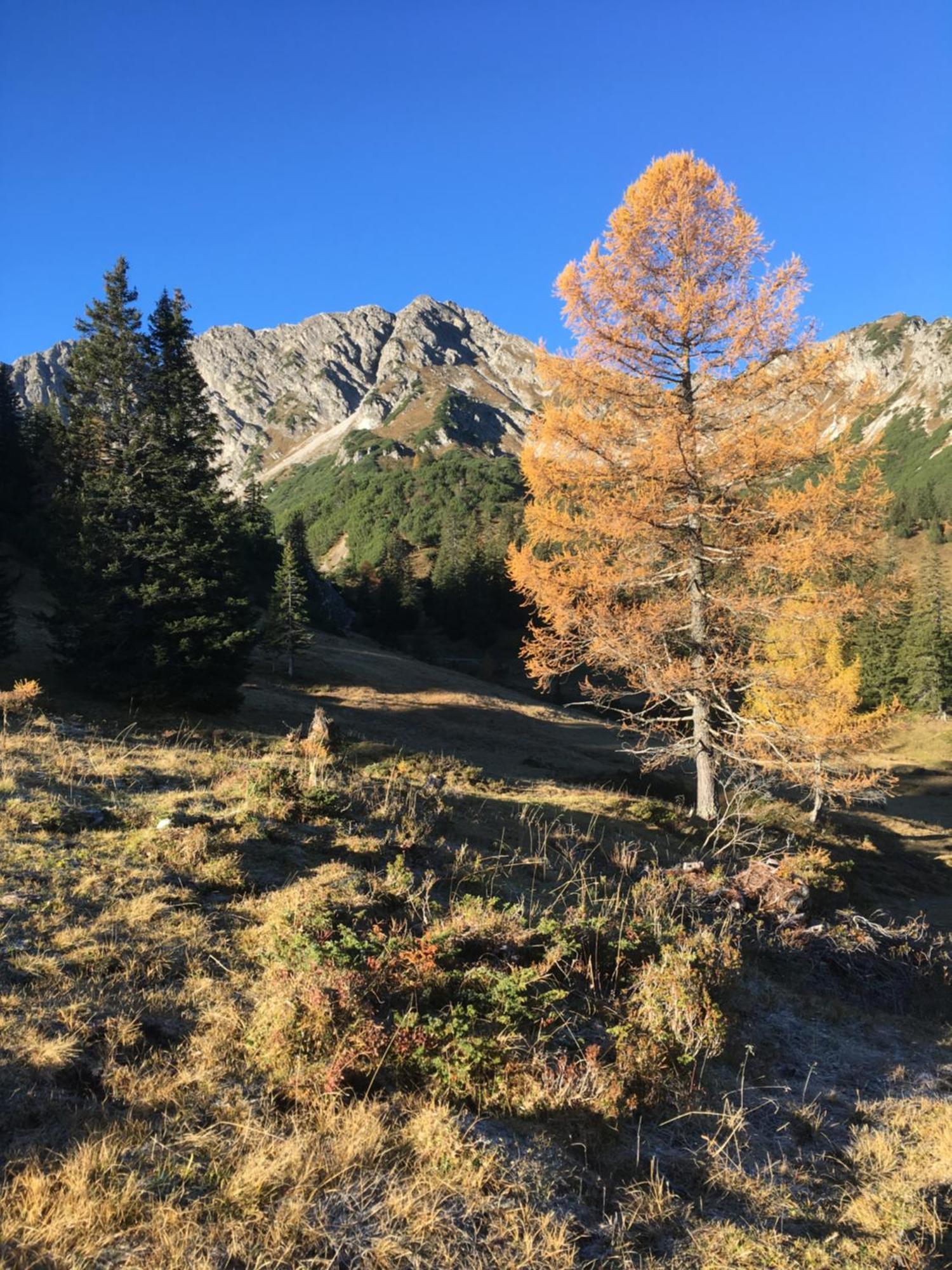 Tramontana